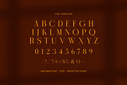 Cheelin Elegant Serif Font, a Serif Font by Perfectype (Thumbnail 8 of 8)
