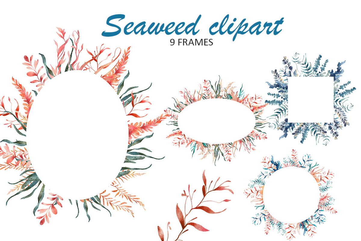Water Plants Seaweed Clipart, an Object Illustration by Evgeniia (Photo 5 of 5)