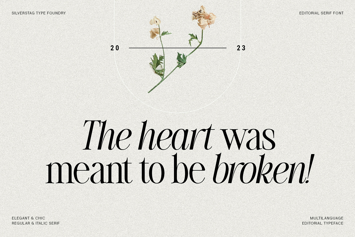 The Silver Editorial Serif Font, a Serif Font by SilverStag Type Foundry (Photo 23 of 25)