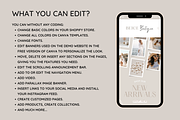 Light Beige Shopify Theme, a Shopify Template by SunshineStudioBoutique (Thumbnail 3 of 9)