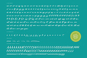Satiate Ration Bold Brush Font, a Script Font by stylishtype.co (Thumbnail 19 of 20)