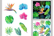 Tropical plants., an Illustration by yulia.sukhanova (Thumbnail 3 of 3)