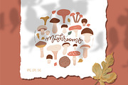 Cozy autumn: fall season graphic set, a Decorative Illustration by Lana Sham (Thumbnail 4 of 14)