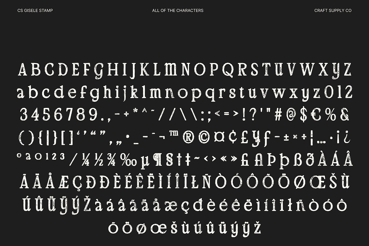 CS Gisele Stamp, a Serif Font by Craft Supply Co. (Photo 8 of 8)