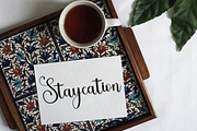Signature, a Handwritten Font by FreshTypeINK (Thumbnail 7 of 8)