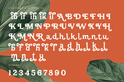 Bailey Retora Groovy Retro Serif, a Serif Font by timelesstype.co (Thumbnail 19 of 20)