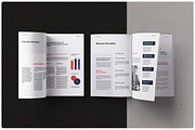 Business Plan, a Brochure Template by StudioGraficso (Thumbnail 3 of 12)