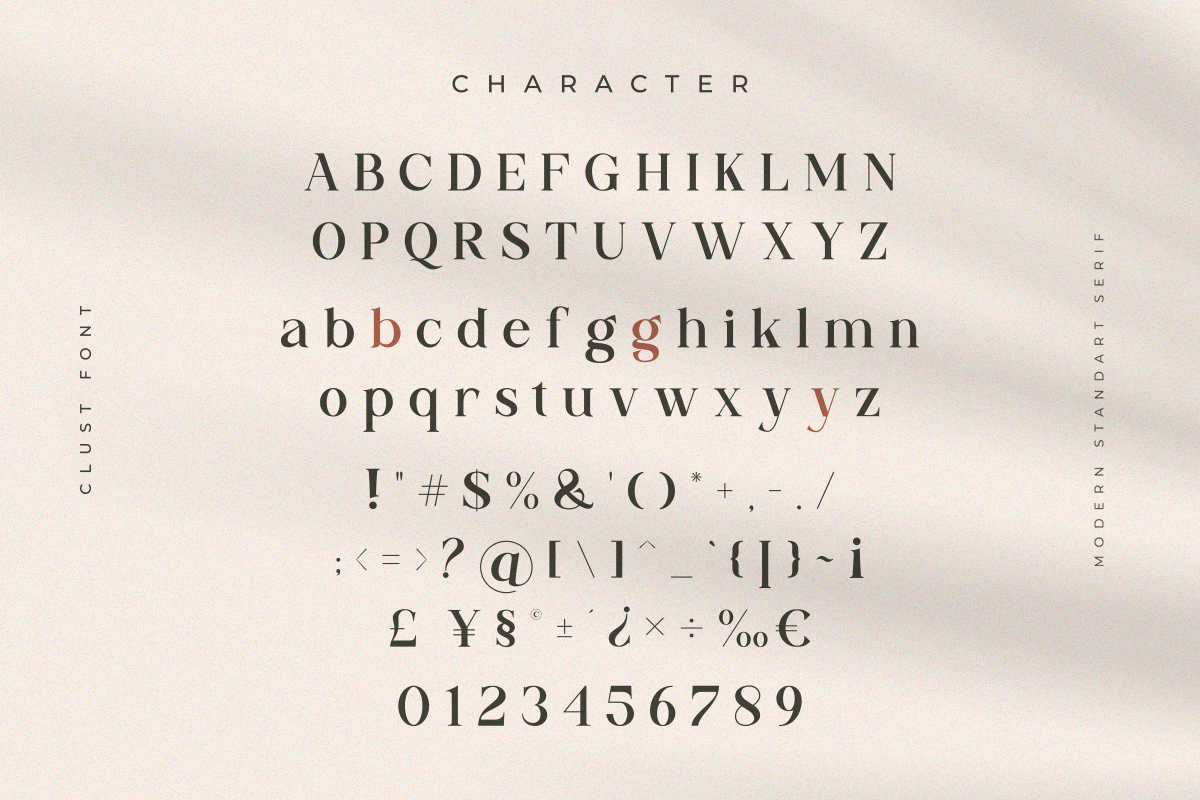 Clust - Modern Serif Elegant, a Serif Font by The_Type (Photo 11 of 11)