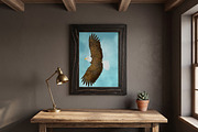 Flying Bald Eagle Illustration, an Animal Illustration by AMMi (Thumbnail 2 of 6)