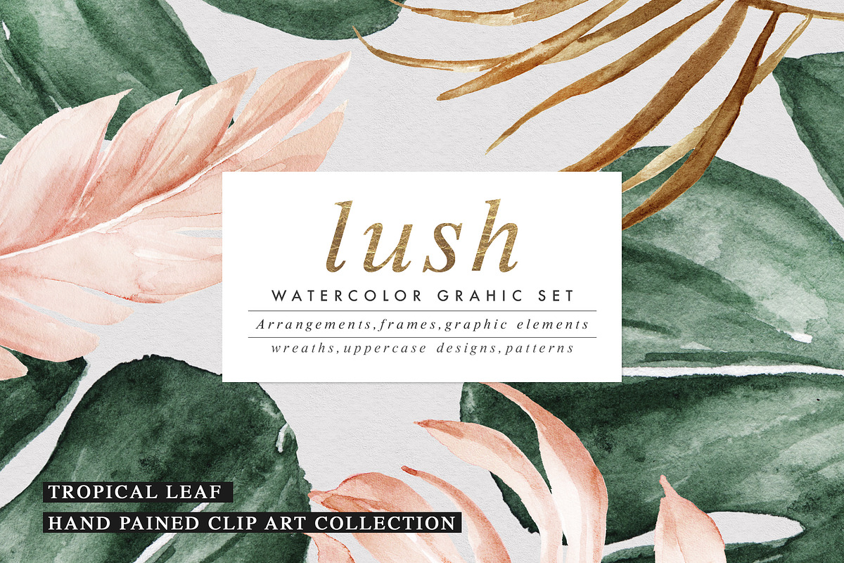 Lush-Summer Graphic Set, an Illustration by Graphic Box (Photo 1 of 8)