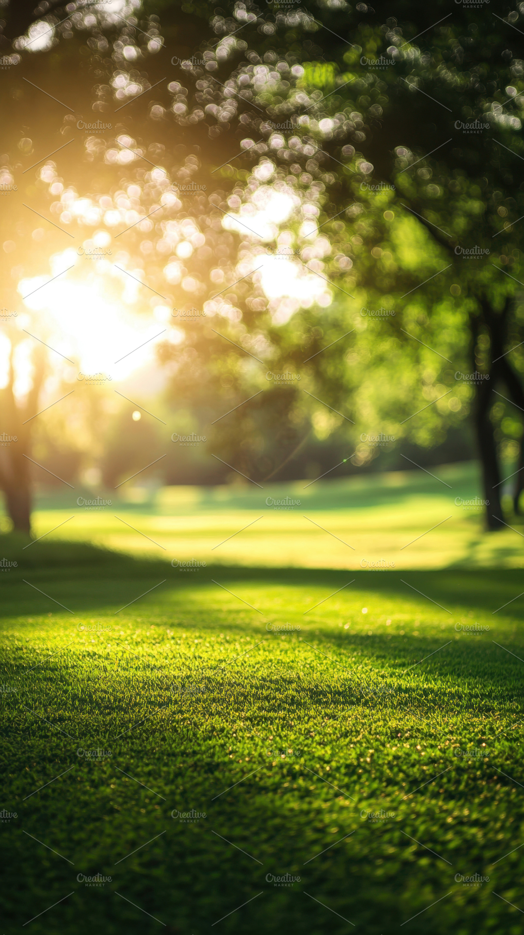 Sunrise over a tranquil green field, a Photo by Beautiful things