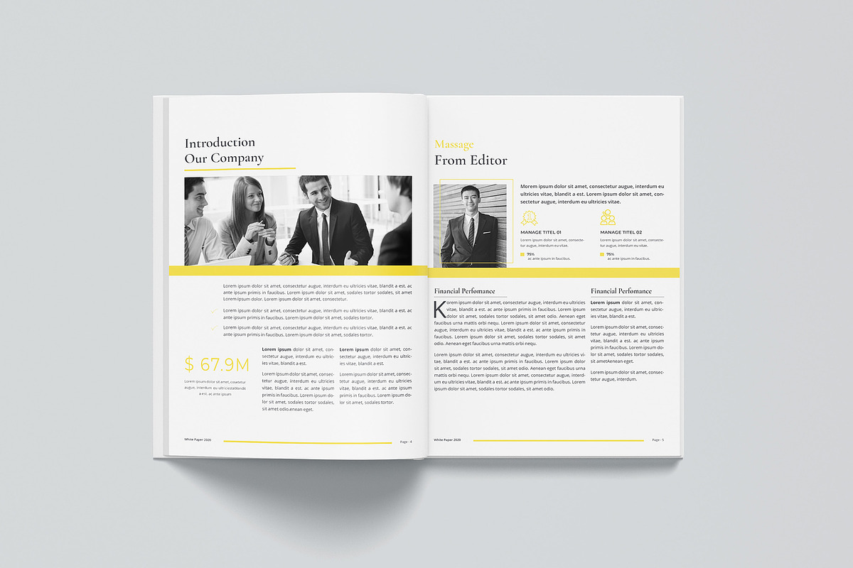 The White Paper, a Brochure Template by obayes (Photo 6 of 11)