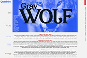 Quadrim - Serif Font Family, a Serif Font by Artistic & Unique (Thumbnail 11 of 16)