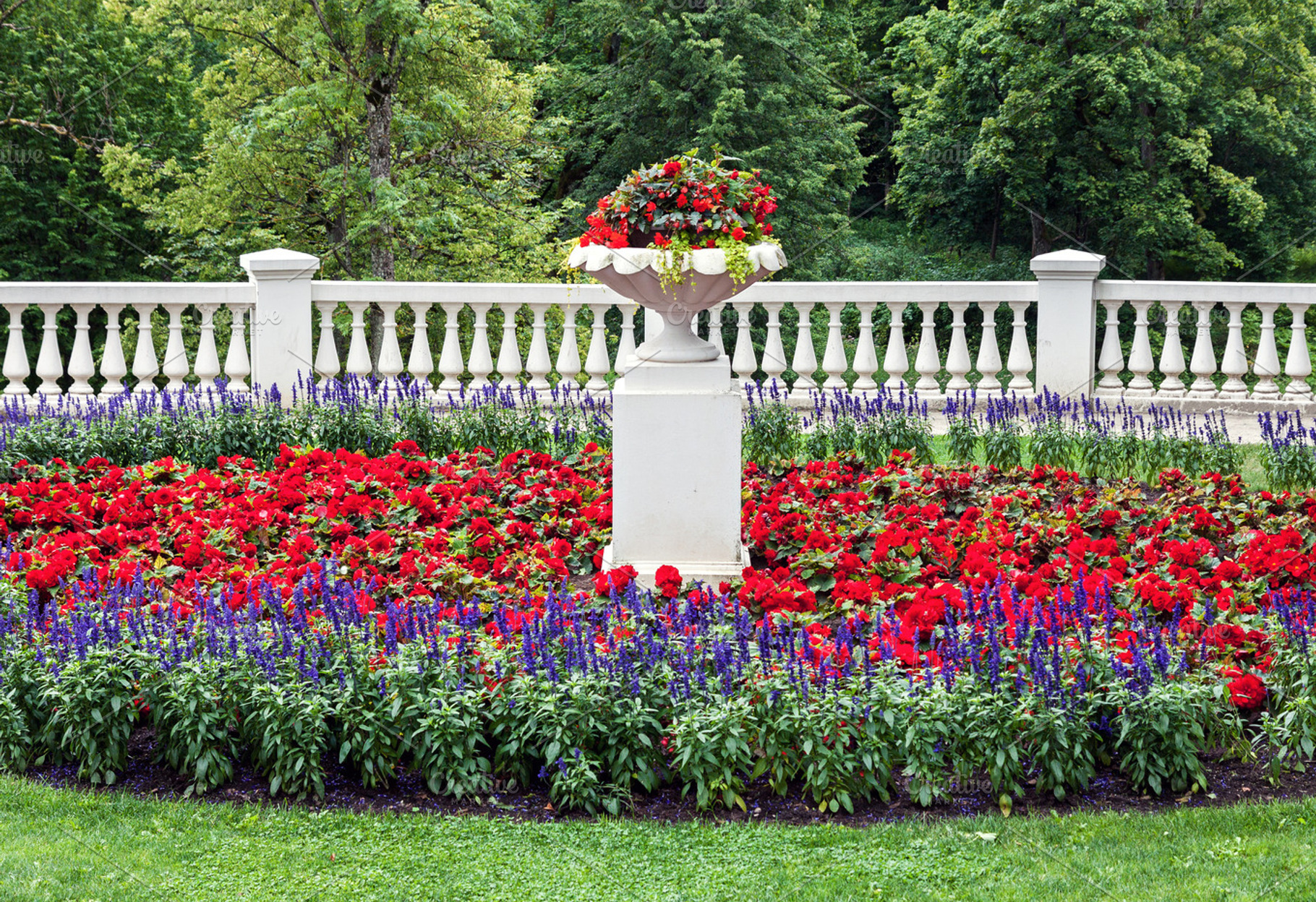 Public park and landscaped flowerbed, a Nature Photo by BOOCYS