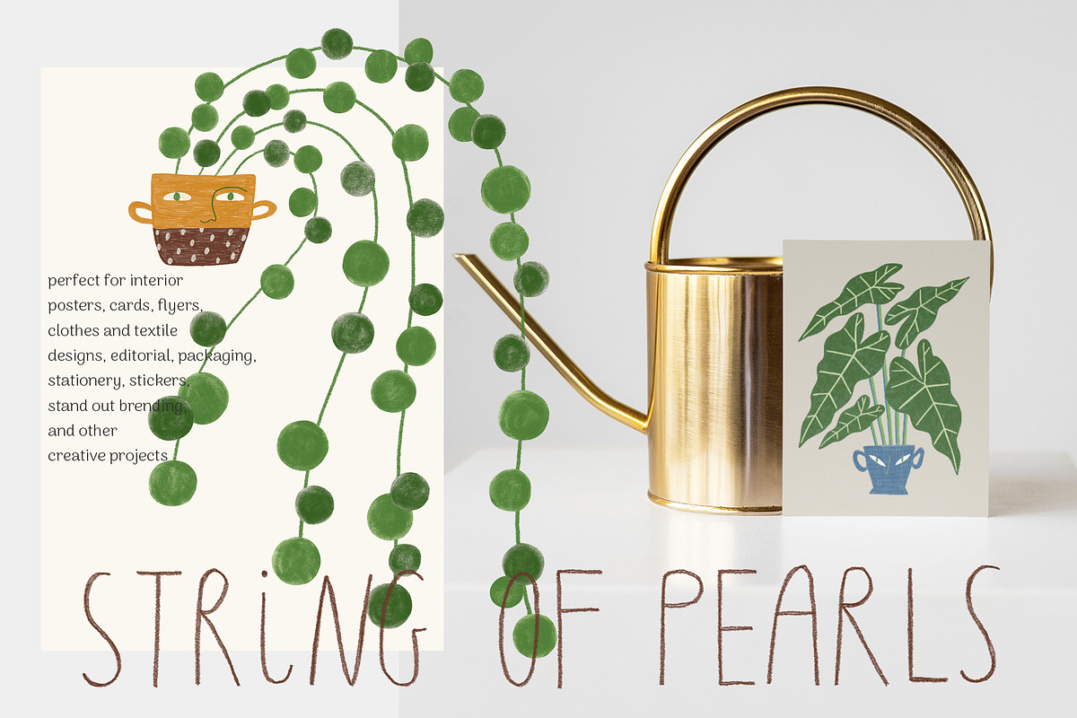 Peperomia - eclectic houseplants, an Illustration by Annakniaz (Photo 11 of 14)