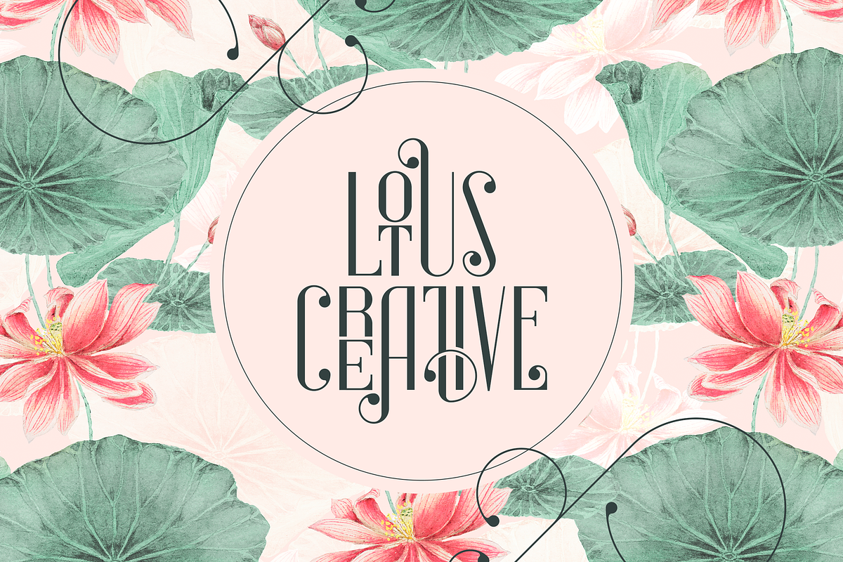 Sorcha Display font + Swashes, a Font by VP Fonts (Photo 8 of 14)