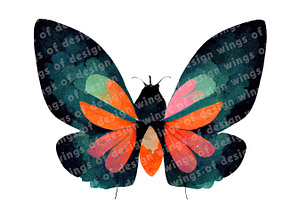 Colorful Butterfly Clipart PNG