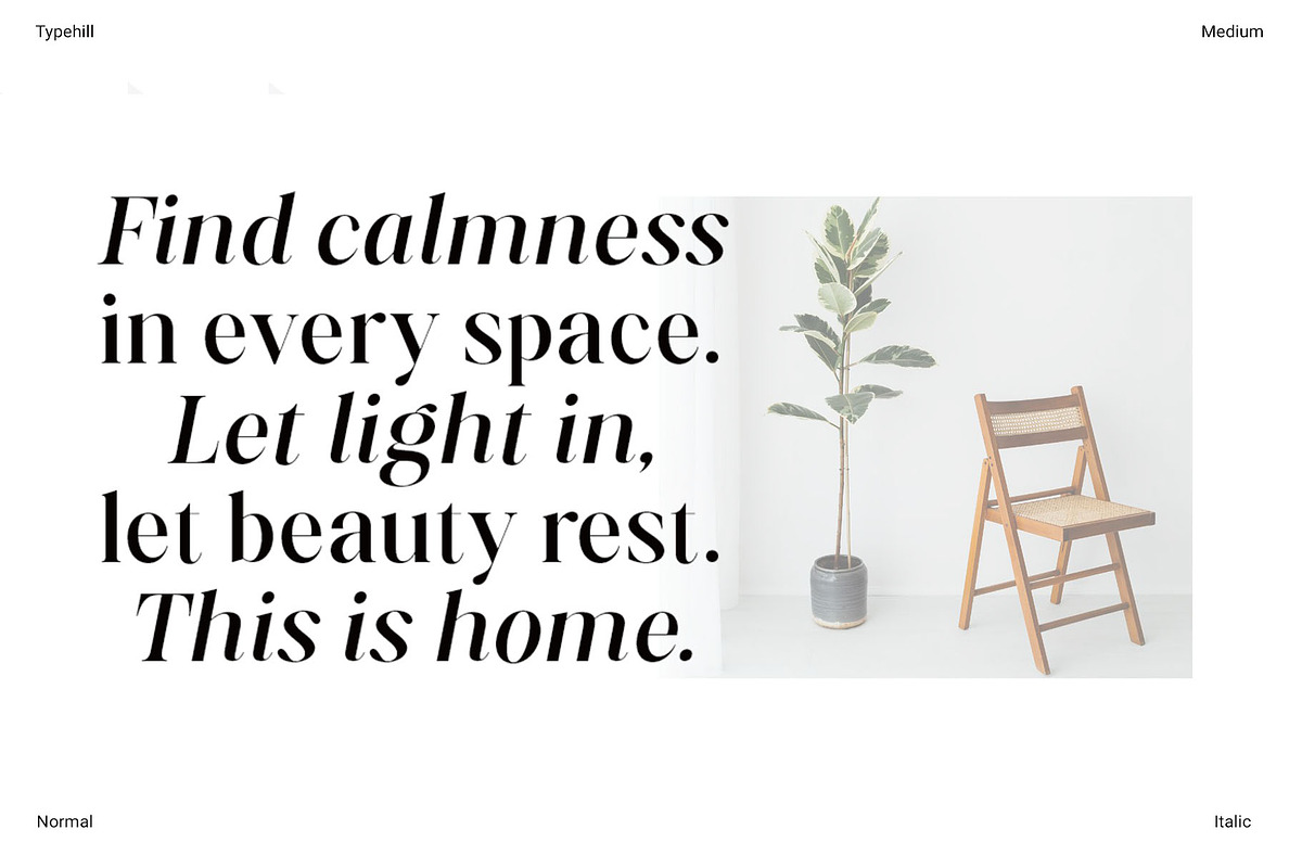 Aurestine Serif, a Serif Font by Typehill (Photo 7 of 14)