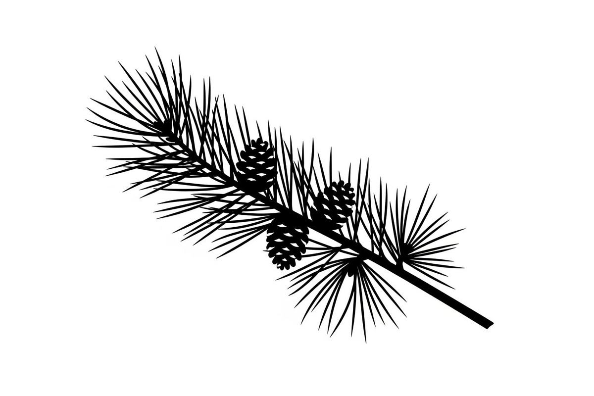 Floral Ornament Silhouette Bundle, an Illustration by BIPLOB EXPERT (Photo 23 of 51)