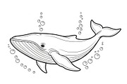 Whale Line Art Vector Bundle, an Illustration by yasushie (Thumbnail 3 of 51)
