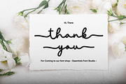 minadine, a Script Font by Essentials Studio (Thumbnail 9 of 9)