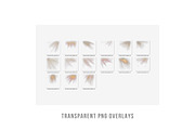 soft subtle sunlight overlays PNG, a Layer Style Add-On by Walllow Creatives (Thumbnail 6 of 6)