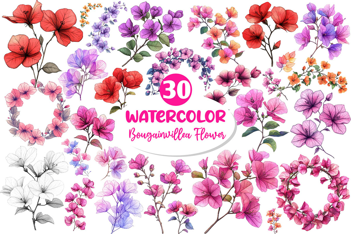 Bougainvillea Flower Clipart Bundle, an Illustration by Dream Creation (Photo 1 of 6)
