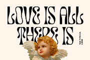 TAN - LIEBE, a Font by TanType (Thumbnail 4 of 12)
