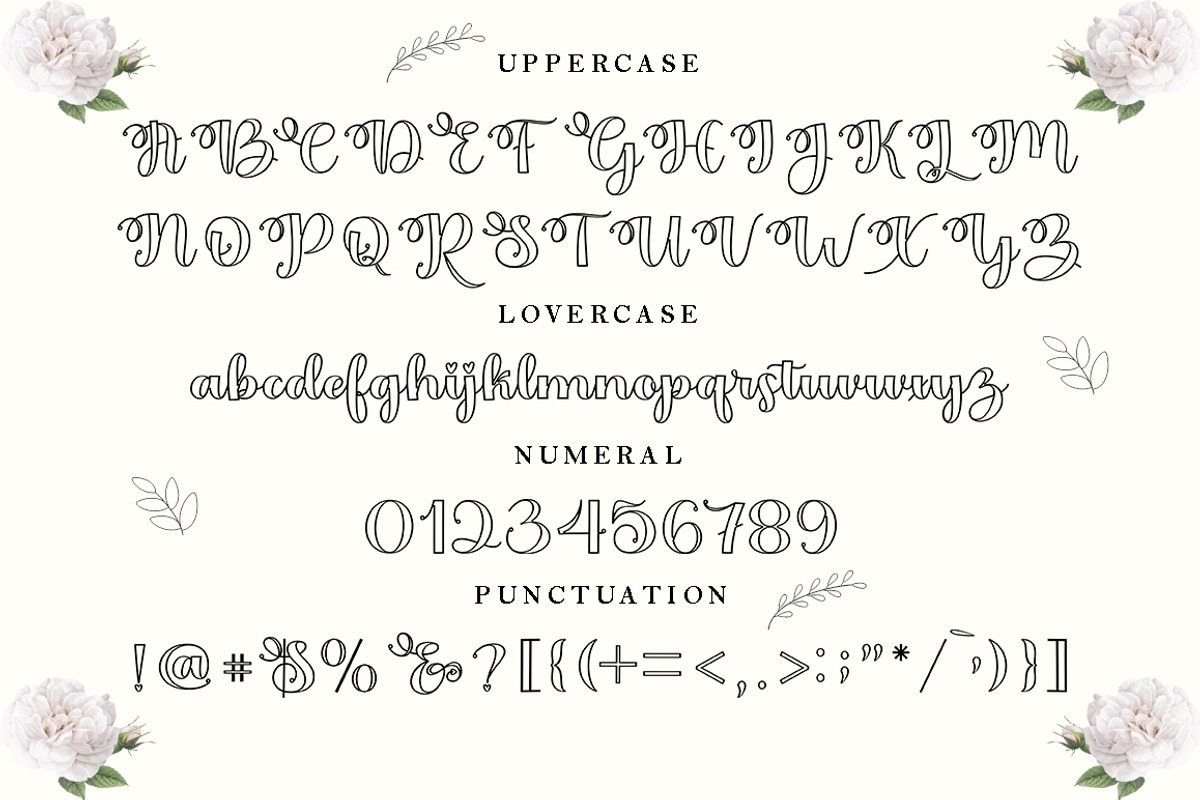 Baile Guneta, a Script Font by TM Type (Photo 8 of 10)