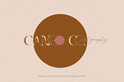 More Aloof Typeface Font, a Serif Font by Creativeqube Design (Thumbnail 9 of 14)