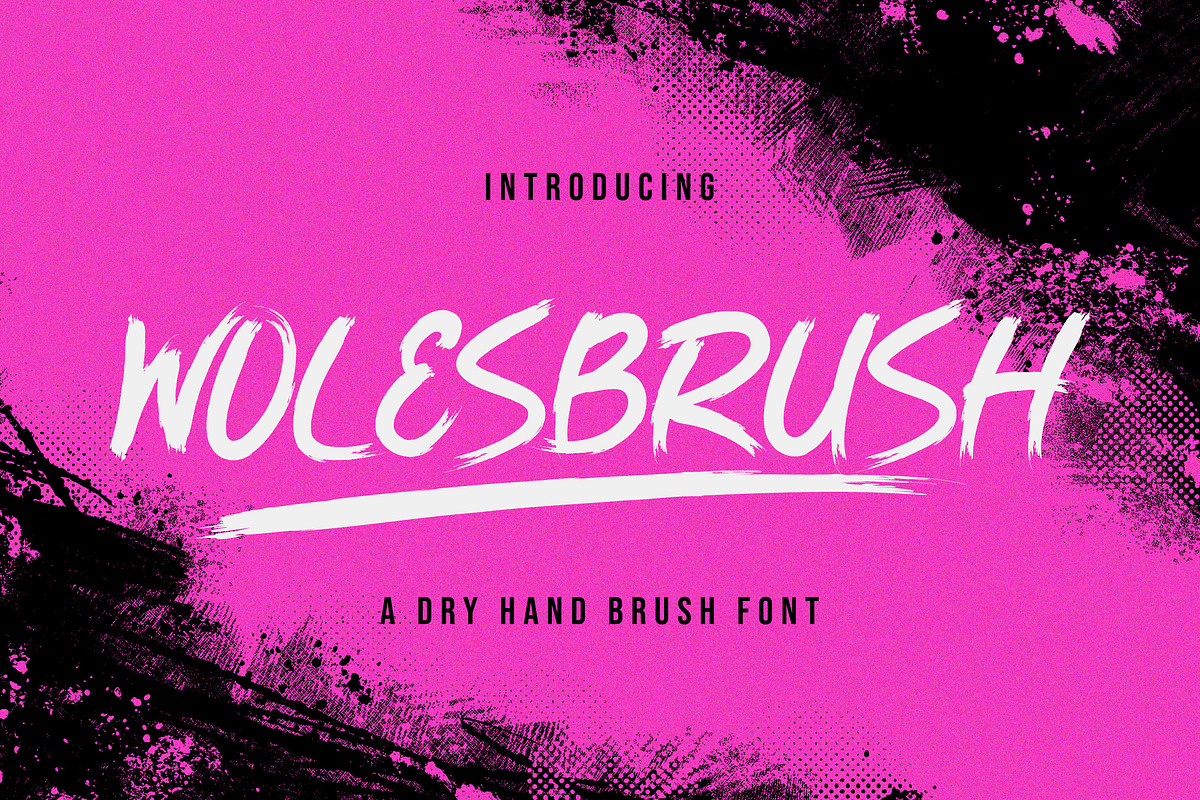Wolesbrush Dry Hand Brush Font, a Handwritten Font by BlancaLab Studio (Photo 1 of 7)