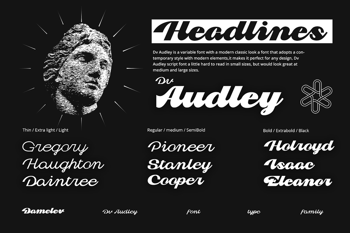 Dv Audley, a Script Font by Damelev (Photo 10 of 15)