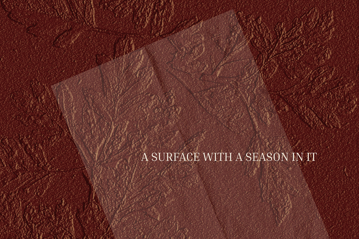 Embossed Leaf Autumn Backgrounds, a Background Graphic by Anzhelika (Photo 5 of 12)