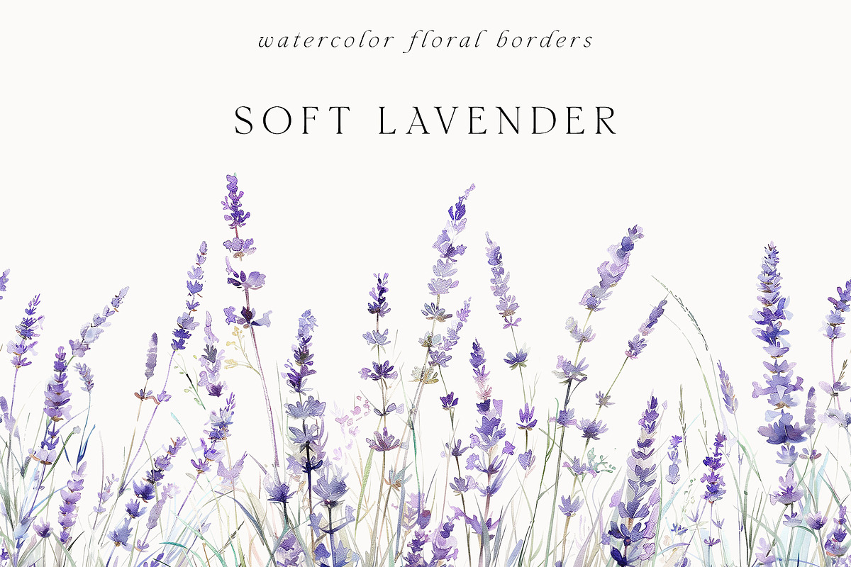 Waterolor Floral Borders Bundle, a Decorative Illustration by Lana Elanor (Photo 38 of 97)