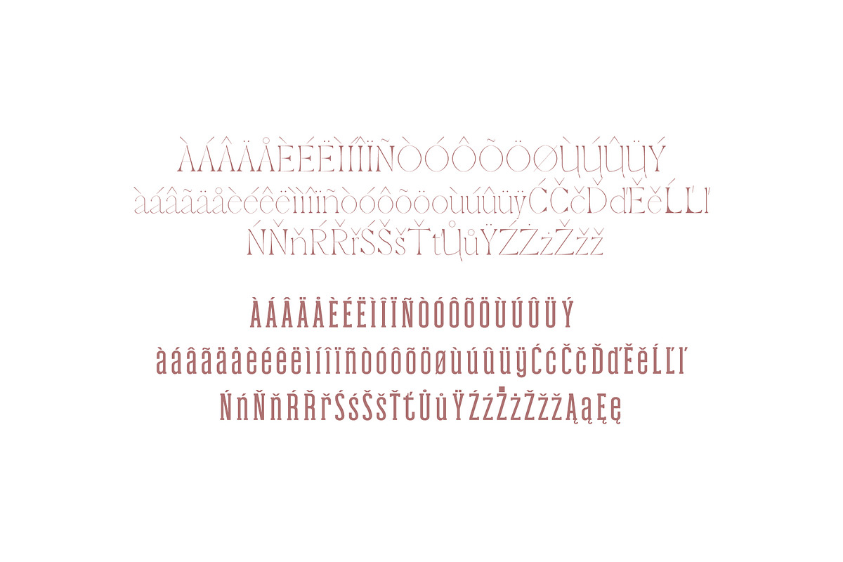 Haana Slab Serif Duo Font preview 4