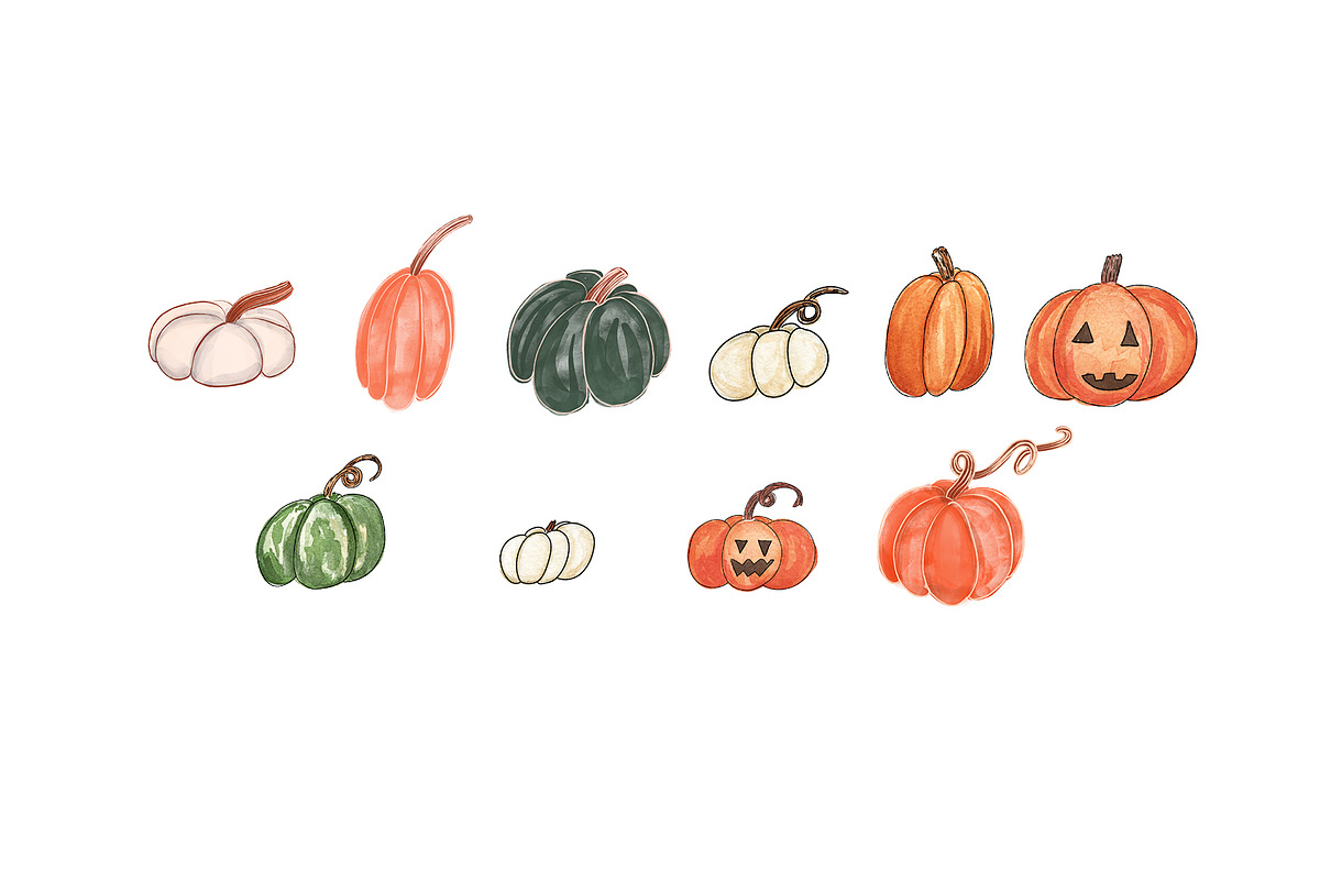 Pumpkin Patch Watercolors, an Illustration by One and Only Paper (Photo 2 of 2)
