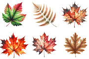 Watercolor Autumn Leaf Clipart, an Illustration by DreamArtGraphic (Thumbnail 4 of 6)