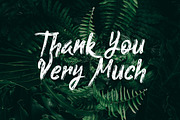 Mahenizar Brush Handwritten Font, a Script Font by UICreative (Thumbnail 3 of 6)