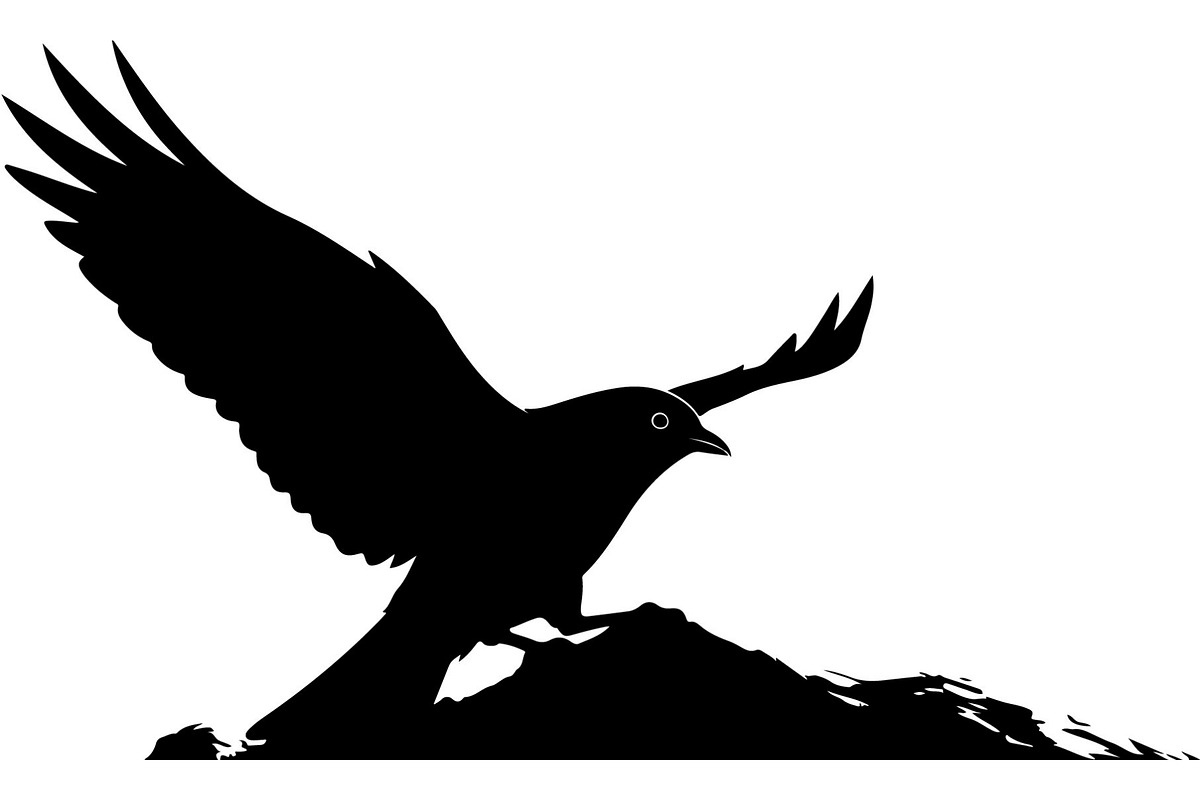 Bird Silhouettes Flying Sideways, an Animal Illustration by Designer_Momina (Photo 6 of 21)