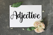 Beauty Angelica, a Handwritten Font by FreshTypeINK (Thumbnail 8 of 8)