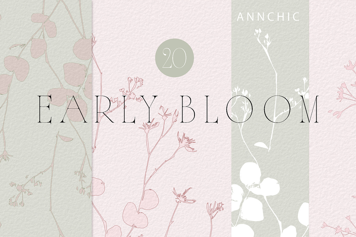 Botanical Background Collection, a Background Graphic by Anna Sokol (Photo 2 of 14)