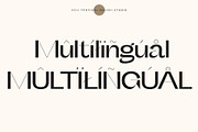 Future Classic Sans Typeface, a Sans Serif Font by Tropical Type (Thumbnail 11 of 11)
