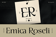 Sonice - Modern Luxury Font, a Serif Font by Vampstudio (Thumbnail 10 of 13)