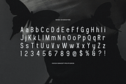 Feaqsta | Display Sans Serif, a Sans Serif Font by gracetype_studio (Thumbnail 10 of 12)