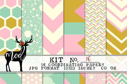 Background Papers Kit 16