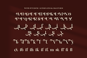 Dashling - Bold Modern Stylish Serif, a Serif Font by Shakira Studio (Thumbnail 9 of 10)