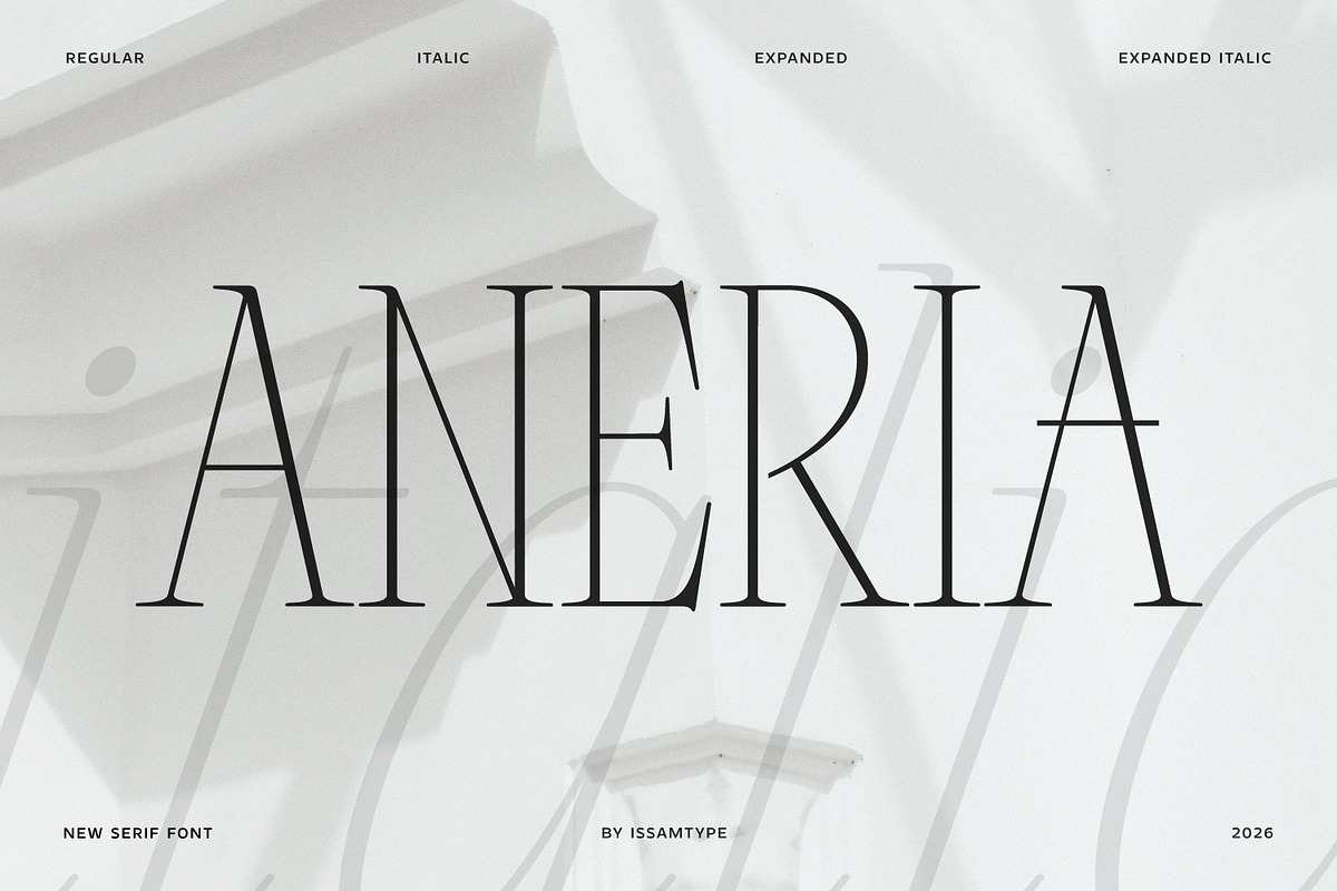 ANERIA — Editorial Serif, a Serif Font by Issam Type (Photo 1 of 14)