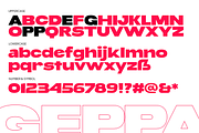 Geppa - Expanded Sans Serif, a Sans Serif Font by Pekotype (Thumbnail 5 of 8)