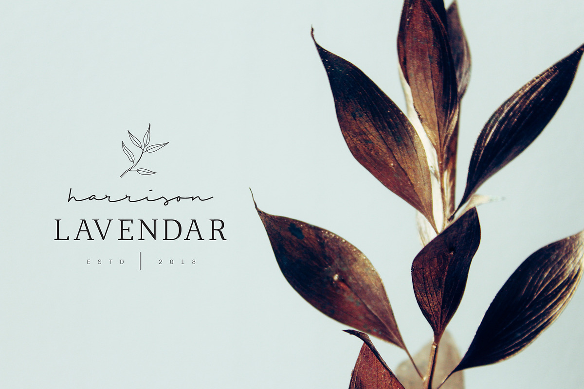 Feminine Branding Premade Logos V01, a Branding & Logo Template by XpertgraphicD (Photo 2 of 13)