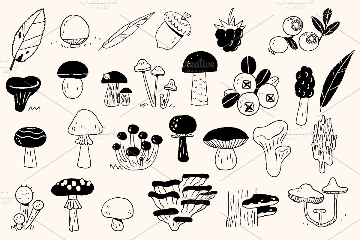 Ink Forest: Botanicals & Characters, an Animal Illustration by Schumacher Shop (Photo 2 of 19)